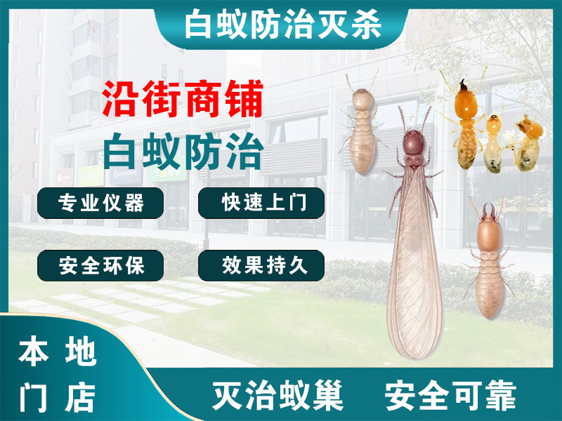 梁溪区沿街商铺白蚁防治