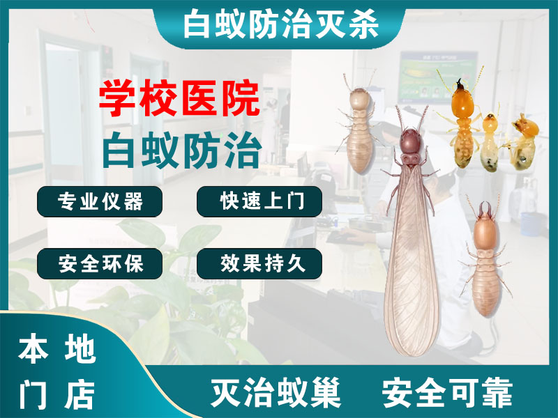 梁溪区学校医院白蚁防治