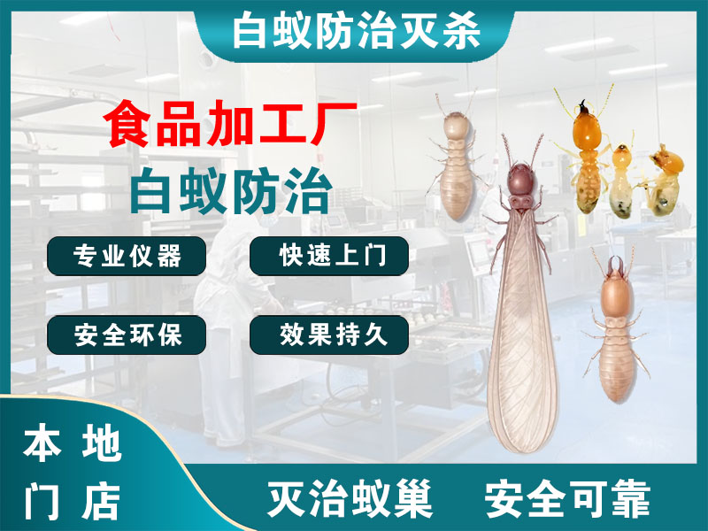 梁溪区食品加工厂白蚁防治