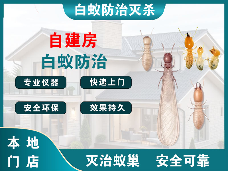 梁溪区自建房白蚁防治