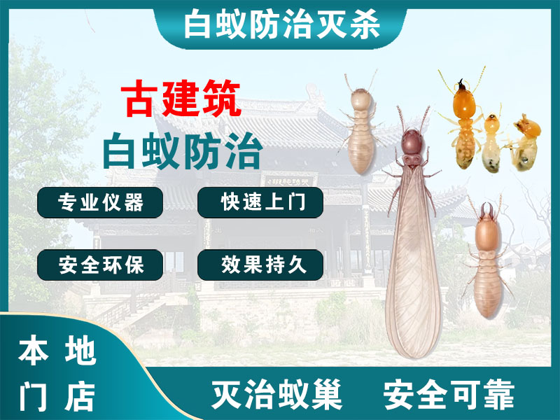 梁溪区古建筑白蚁防治