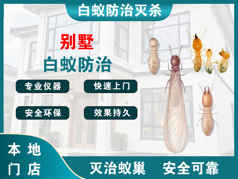 梁溪区别墅白蚁防治