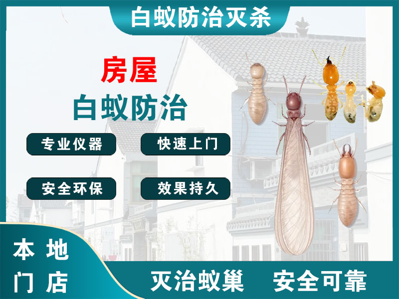 梁溪区房屋白蚁防治